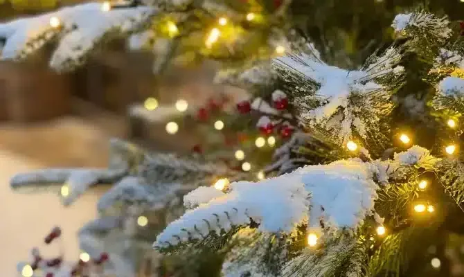 christmas collection